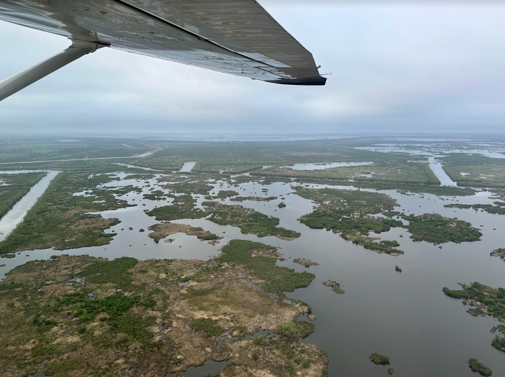 Aerial view of a marsh.