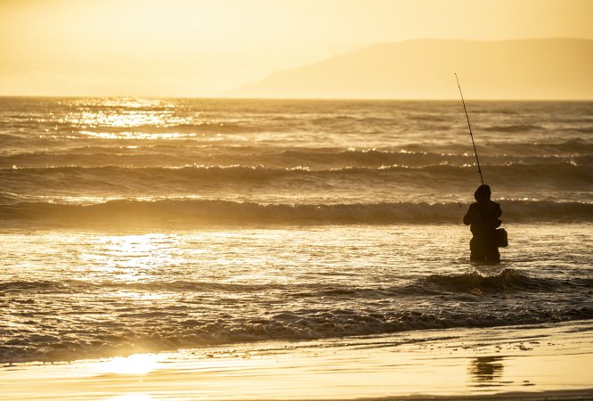 A surf angler casts out from the beach.