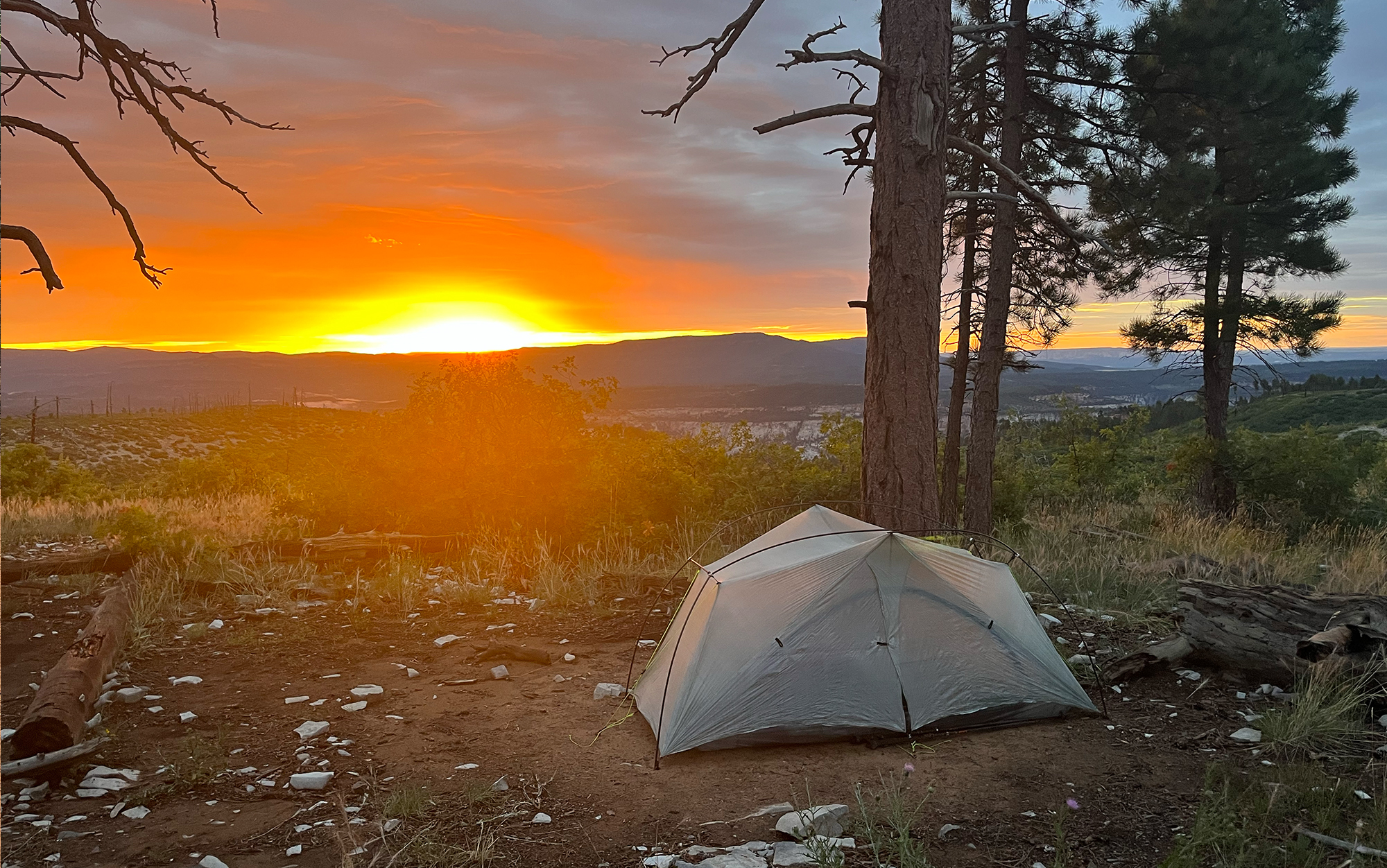 Sunrise after a night of summer monsoons.