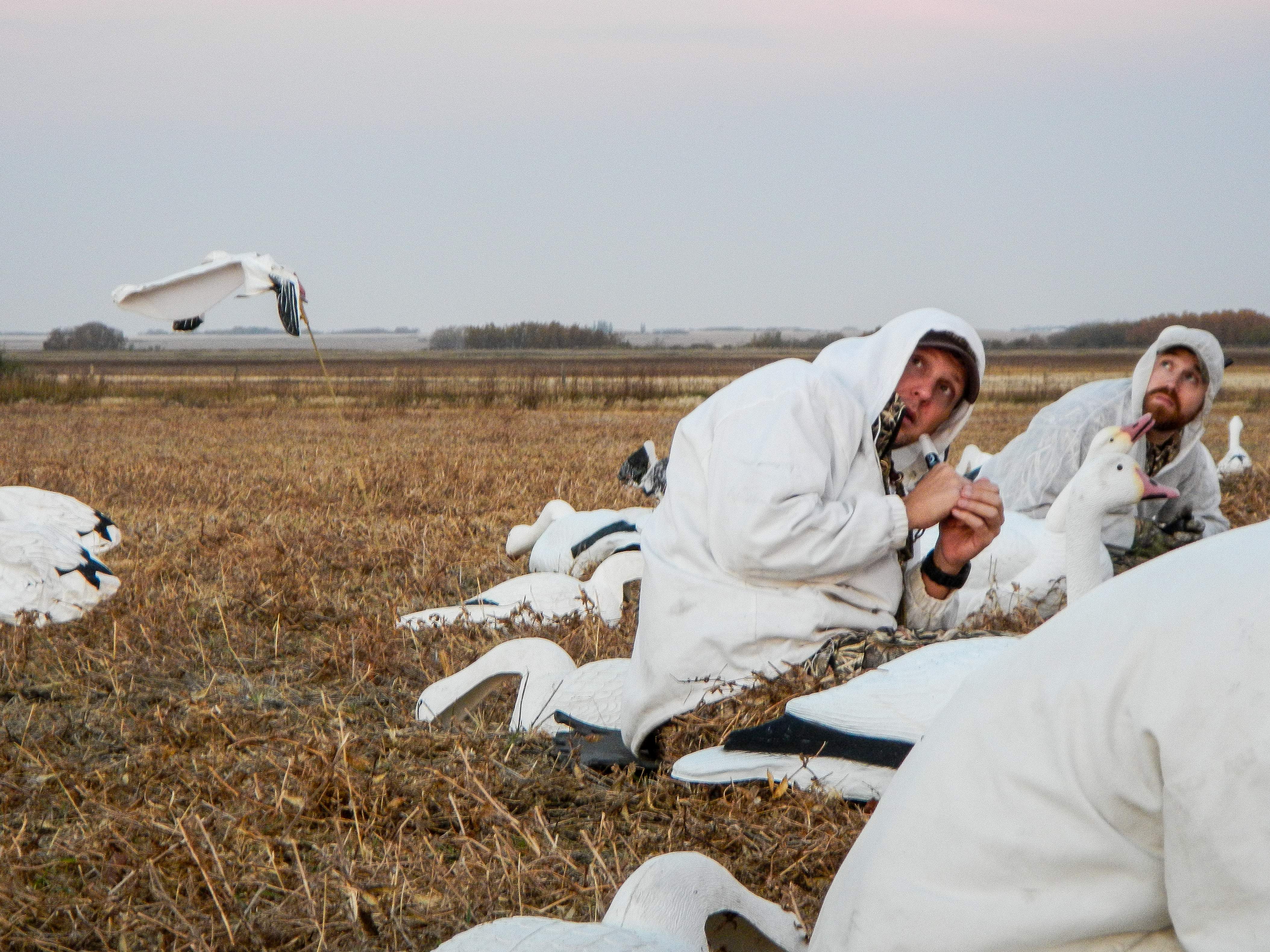 Hunters in a field foxhole blind lean forward.