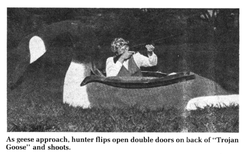 A goose hunter pops out of a giant goose decoy blind in an old black and white photo.