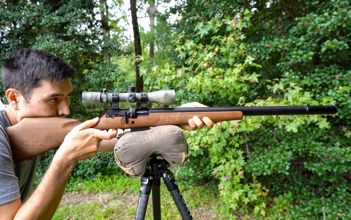 The Best Looking and Most Ergonomic Air Rifle on the Market