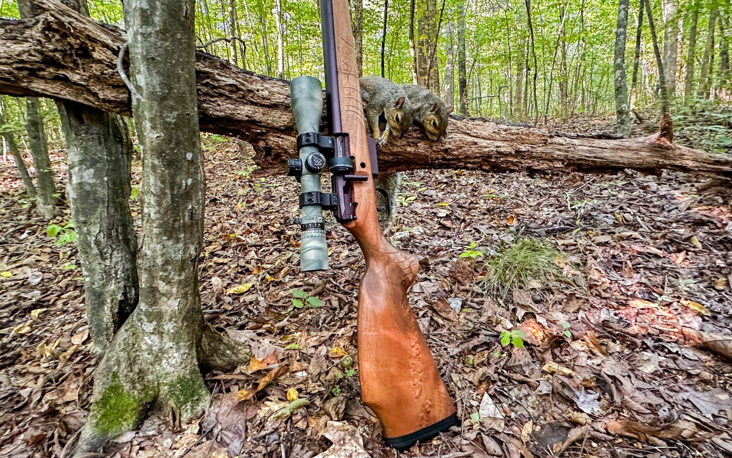 Hunting with the FX DRS Classic