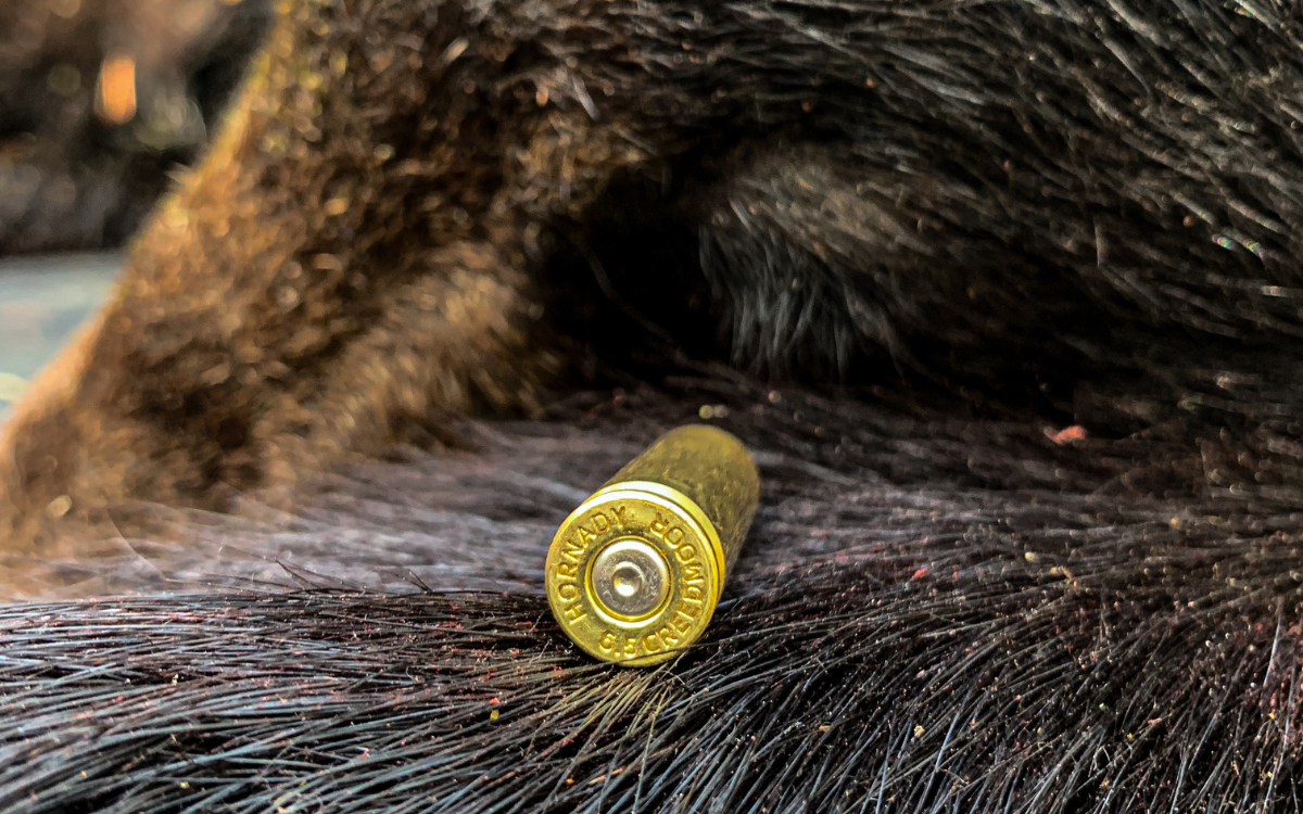 Hunting Black Bears with the 6.5 Creedmoor