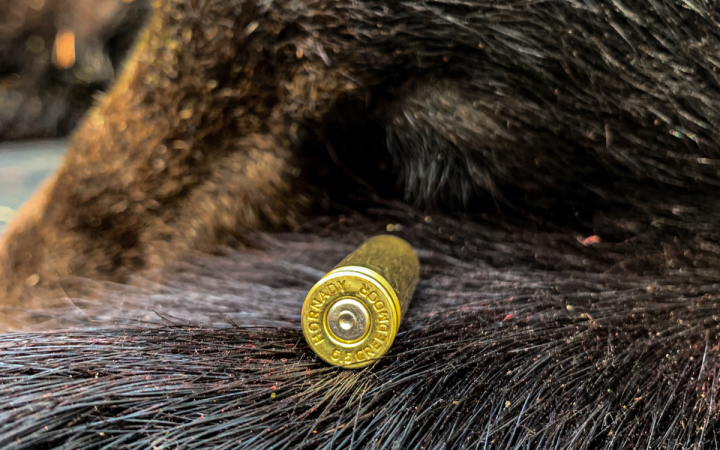 Hunting Black Bears with a 6.5 Creedmoor