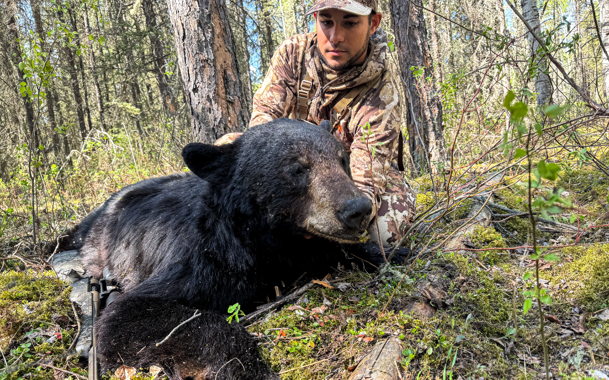 The second bear the author tagged while hunting with a 6.5 Creedmoor.