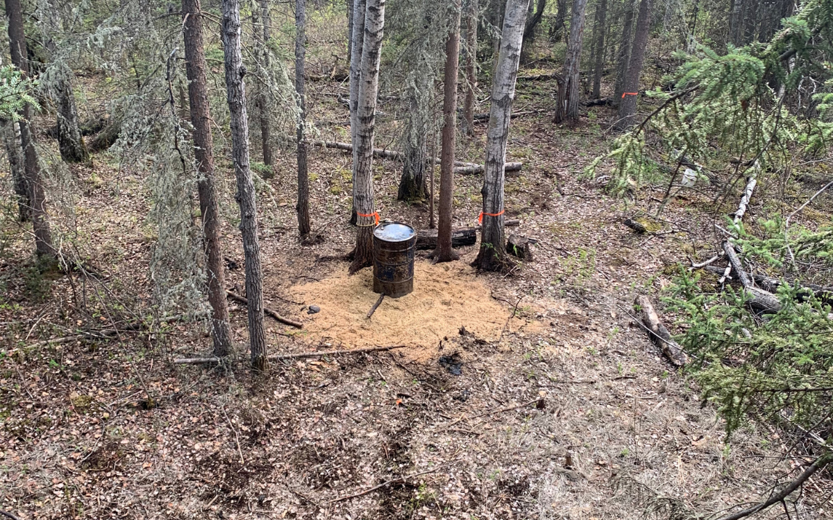 The stand I was hunting black bears with a 6.5 Creedmoor out of.