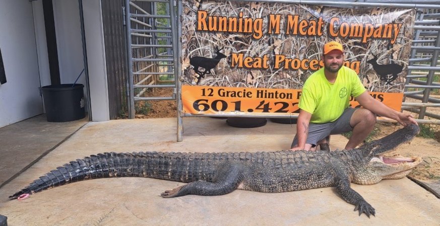 Man poses with large record alligator