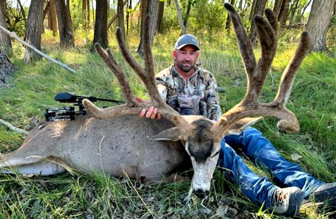 A Colorado bowhunter with mule deer buck.