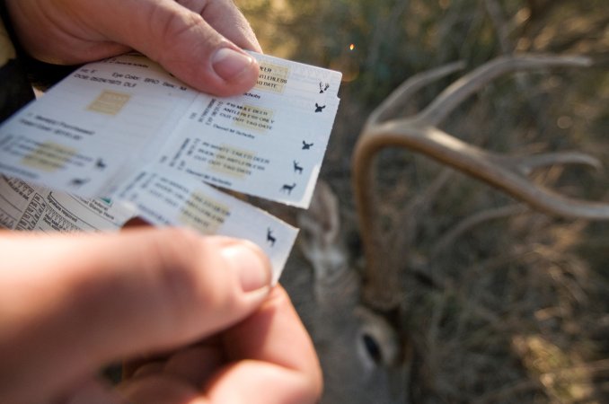 A hunter breaks off his deer tag to tag his buck.