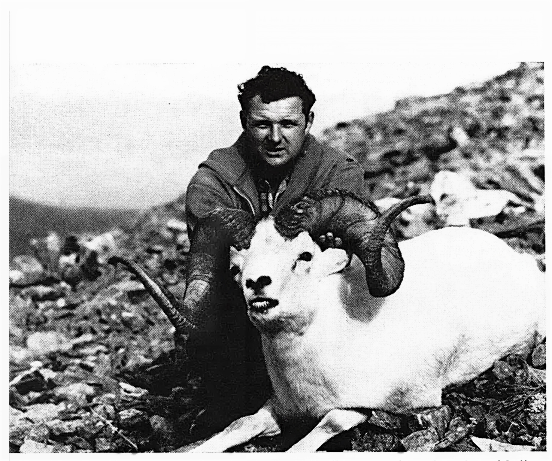 An old photo of a hunting guide with a Dall sheep.