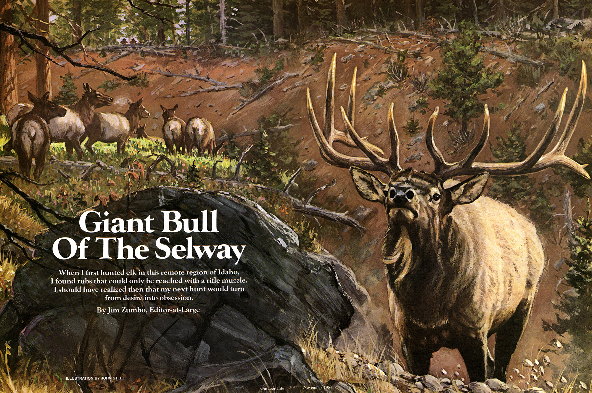 Zumbo in Idaho: Stalking a Giant Bull in the Selway Wilderness