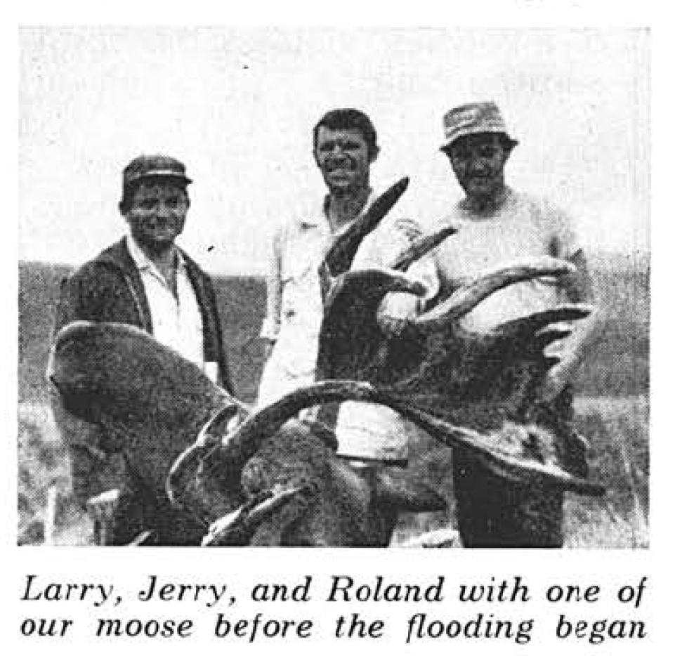 An old photograph o three moose hunters with a bull.