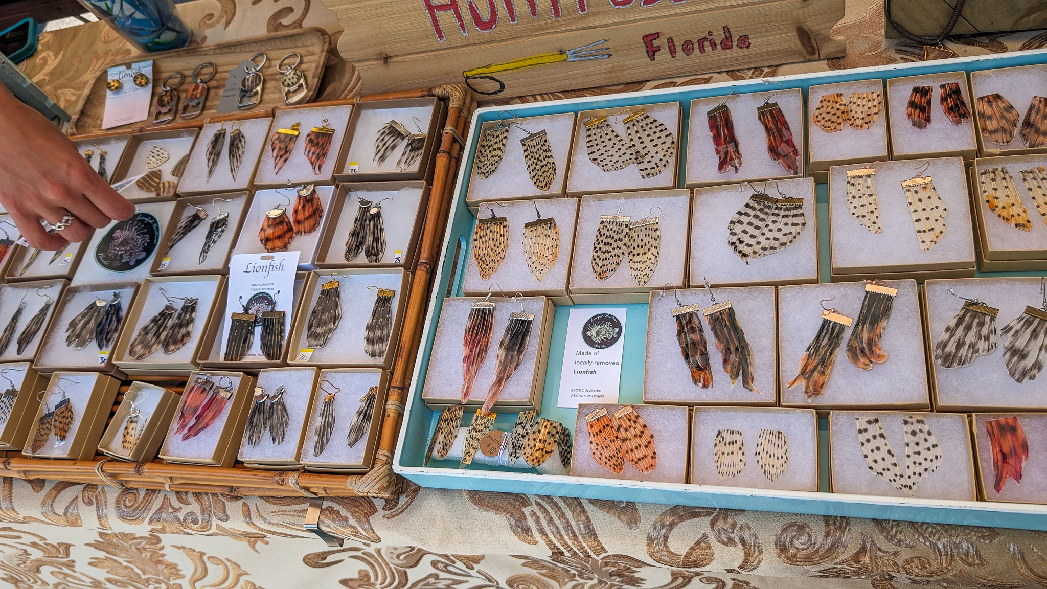 Lionfish earrings on a display