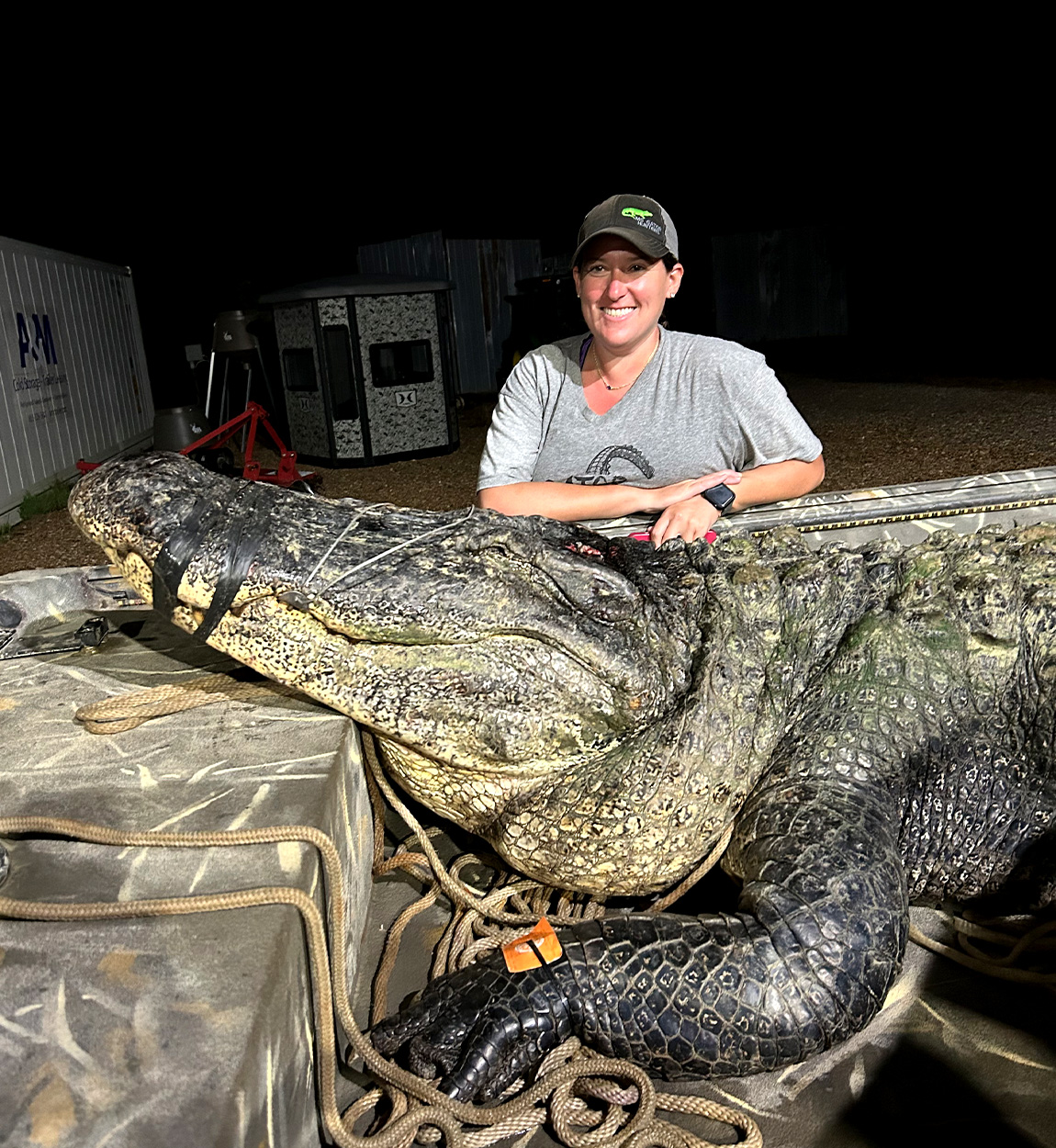 A Mississippi alligator hunter stands next to a giant gator in a boat.