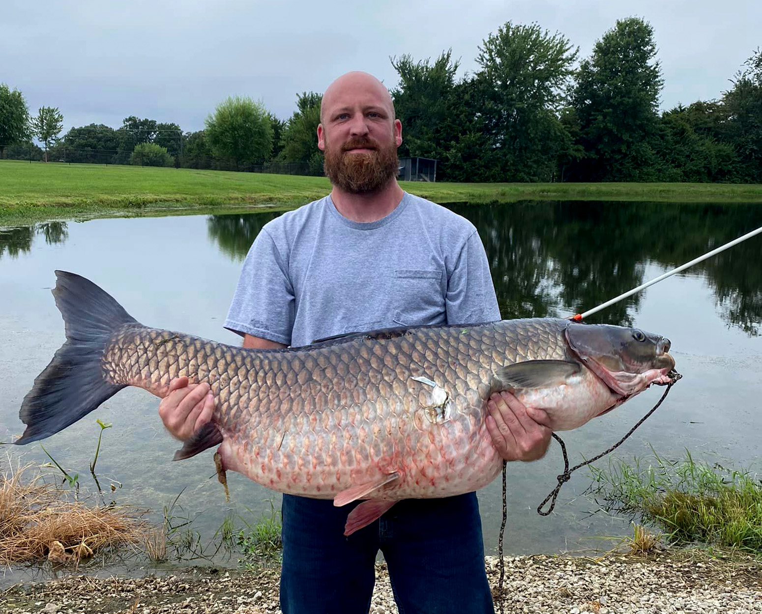 Missouri Bowfisherman Arrows State-Record Grass Carp After Losing It ...