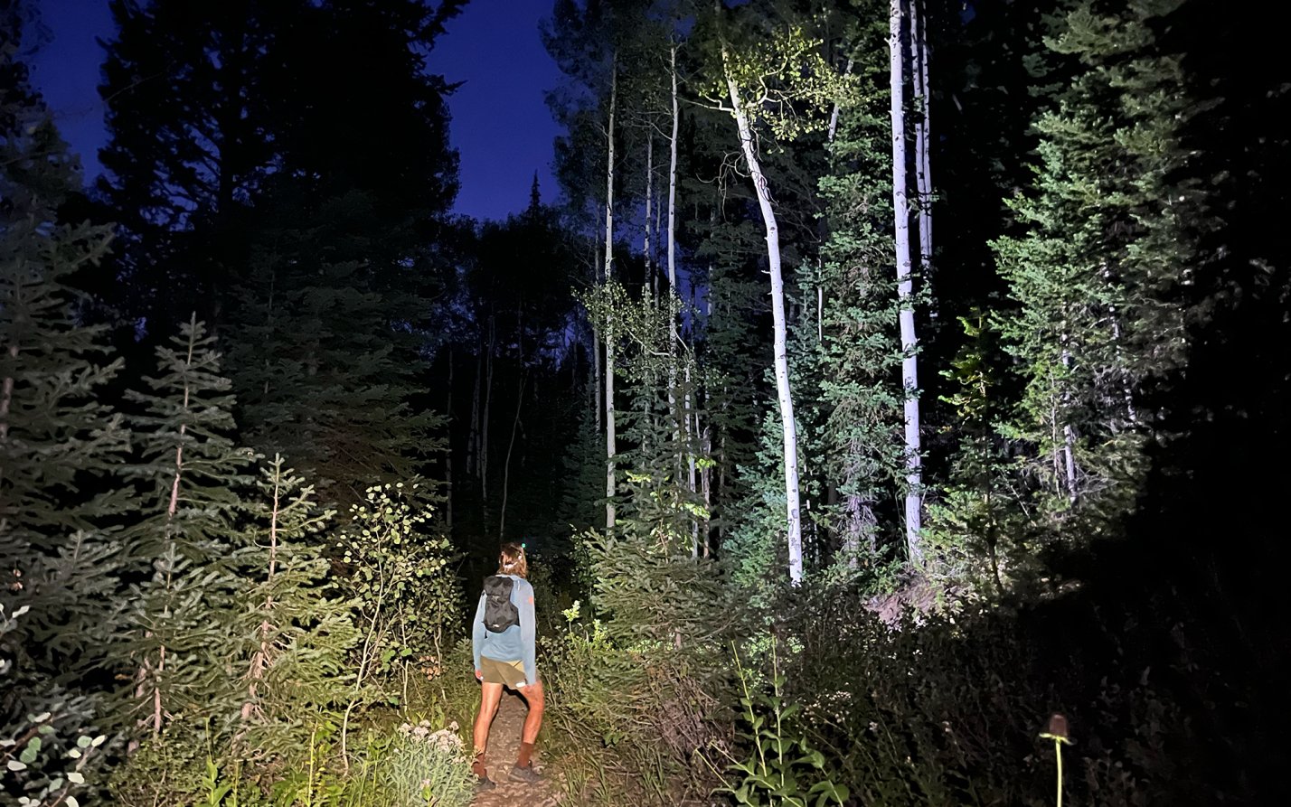 Runner on a trail at night.