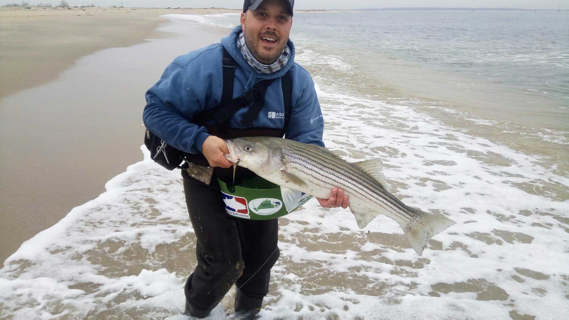 Quick Strike Podcast: Catching Striped Bass on the Fly, from Shore Is Easier Than You Think