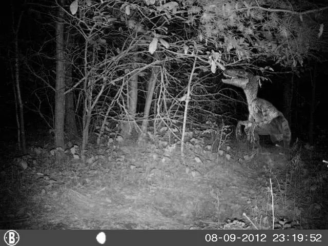 trail camera photo