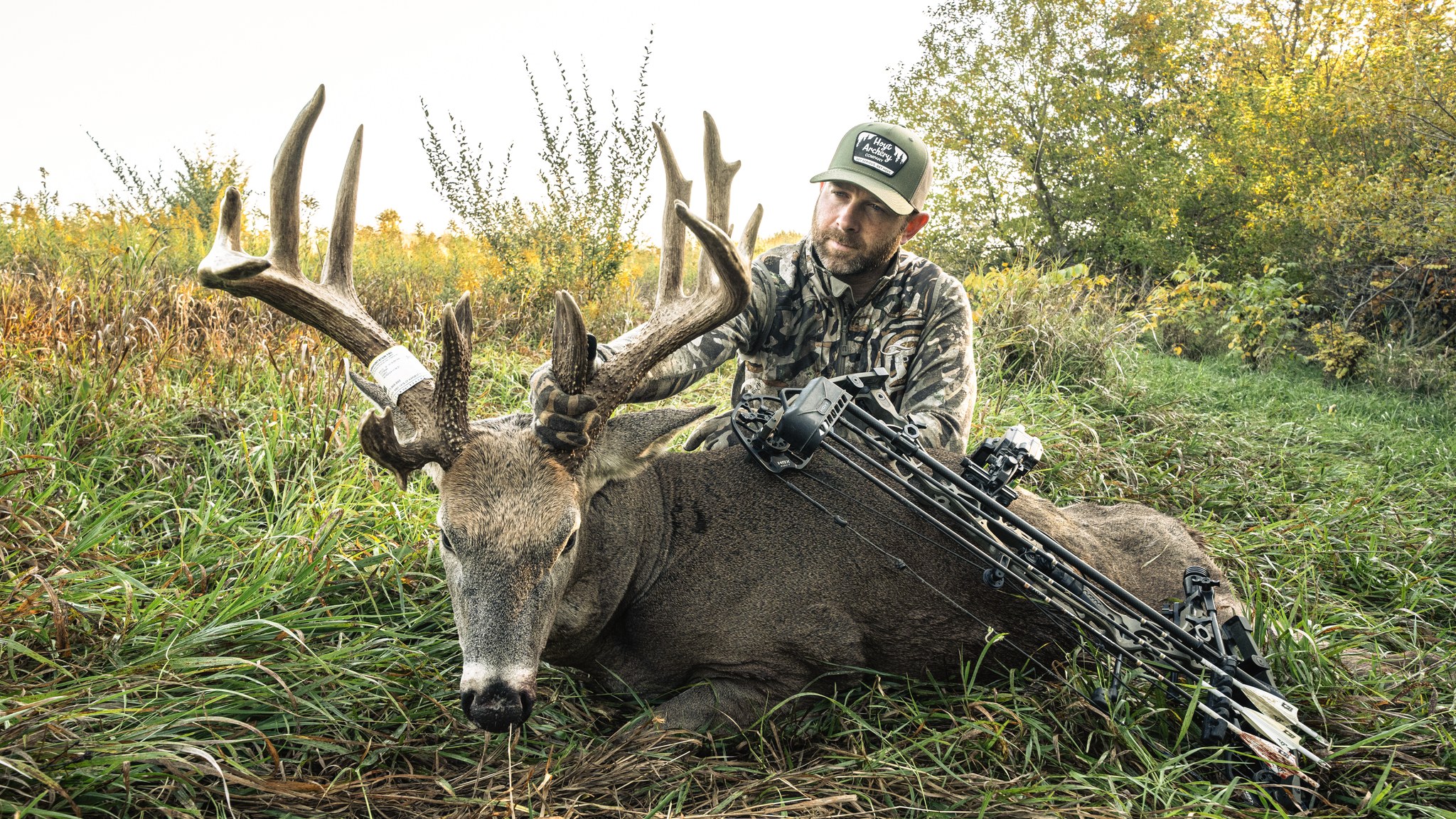 iowa whitetail