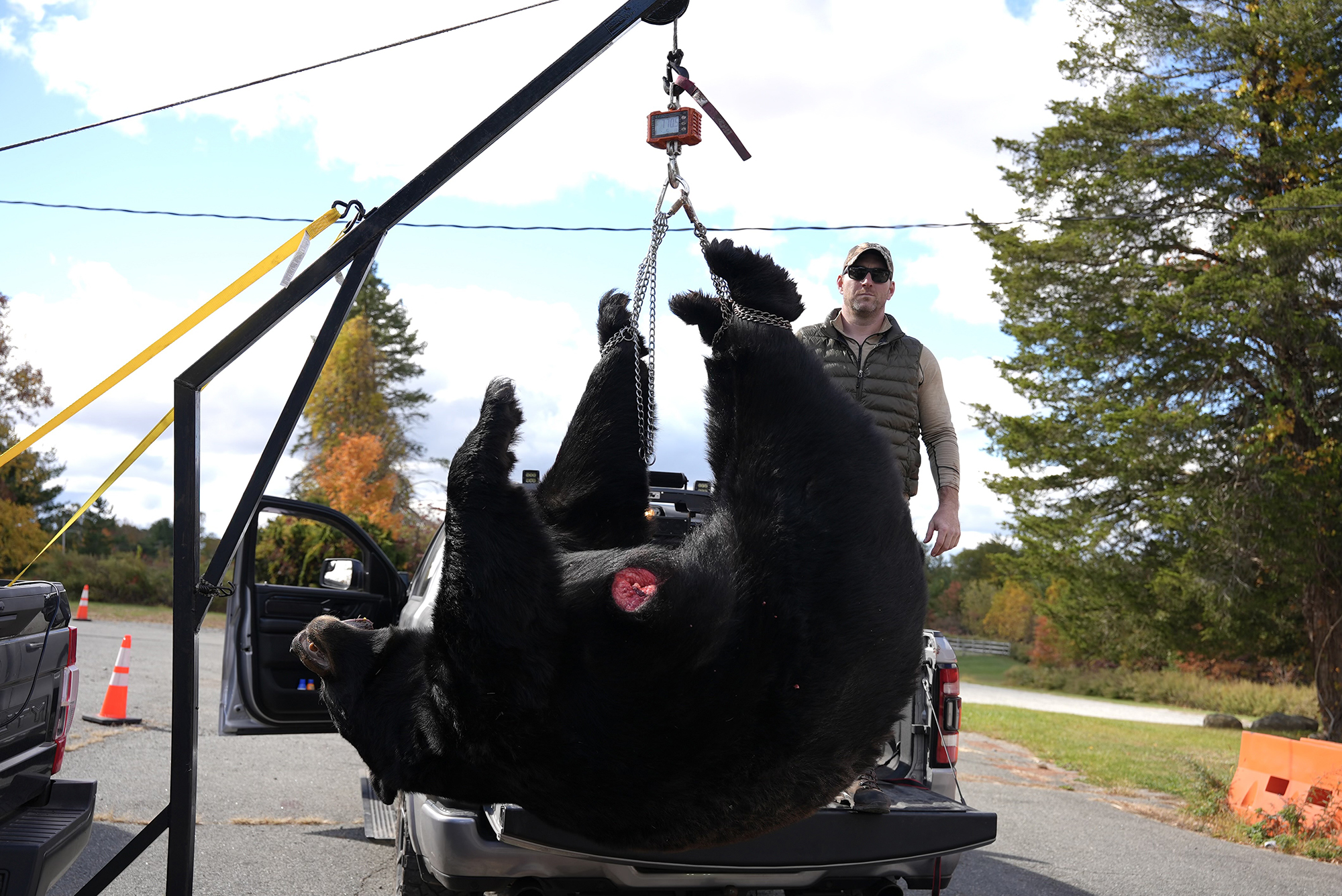 Bowhunter Shoots Massive 770-Pound Record Black Bear in New Jersey 