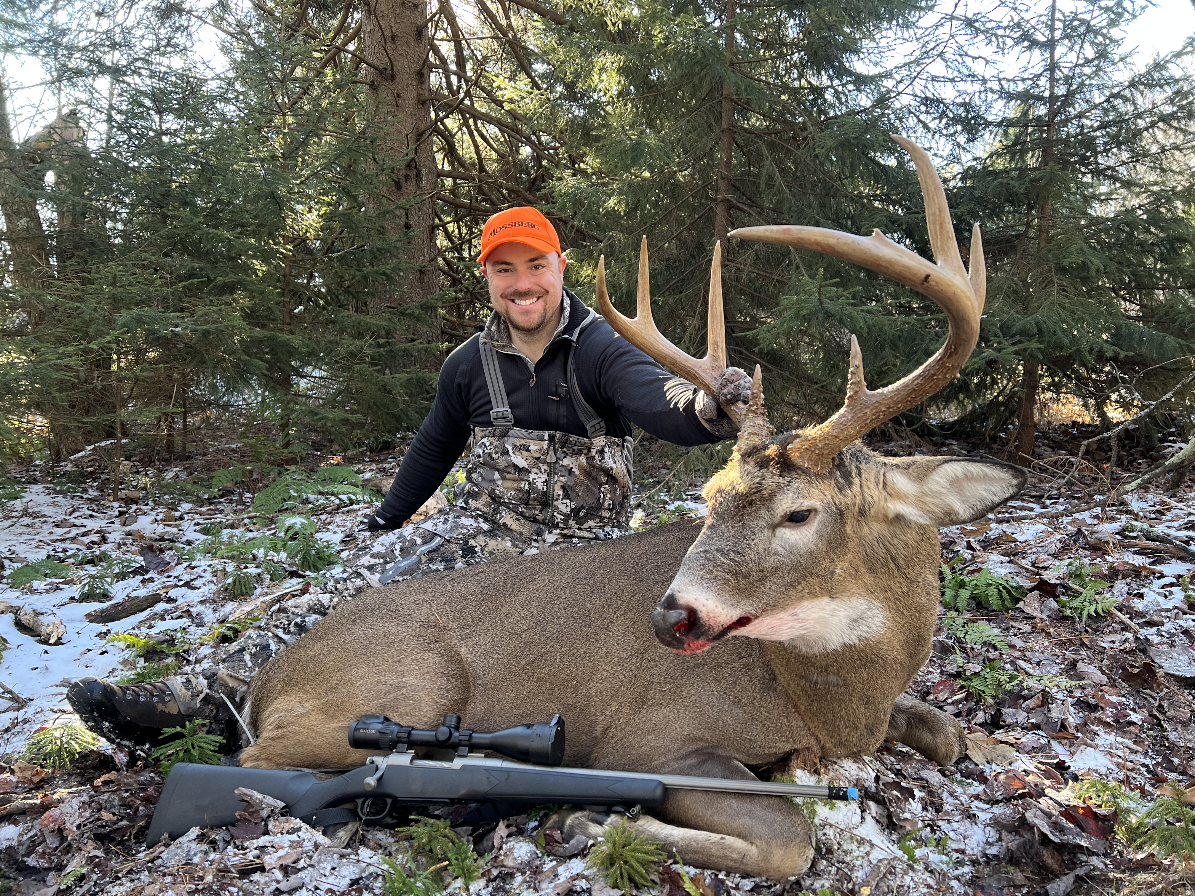 whitetail deer hunting