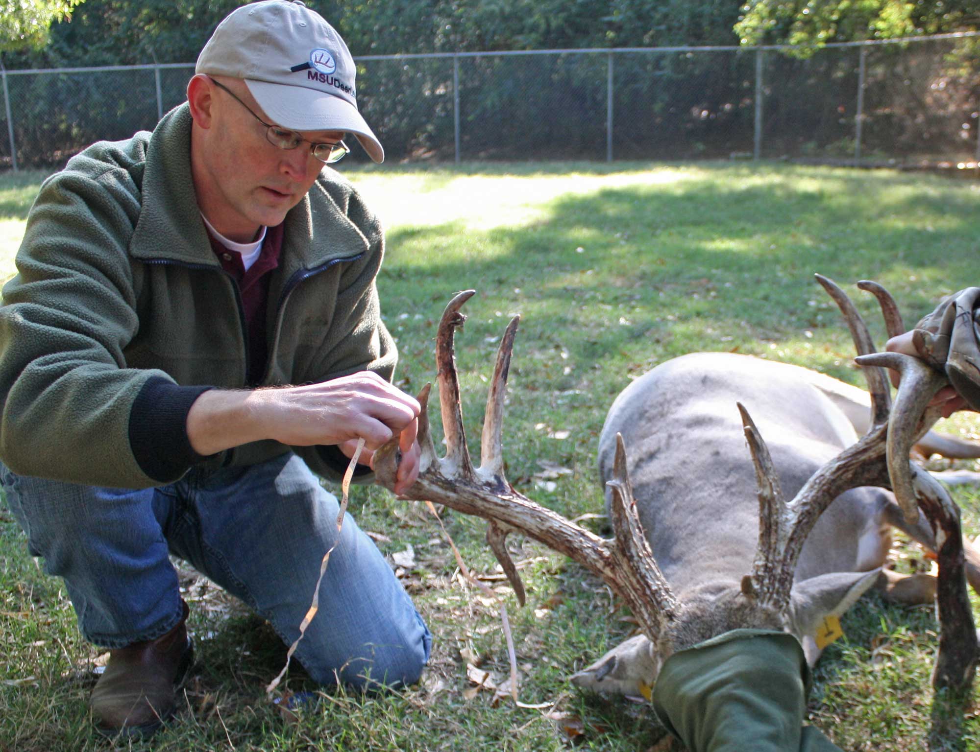 Podcast: Secrets of GPS Collared Bucks with Dr. Bronson Strickland