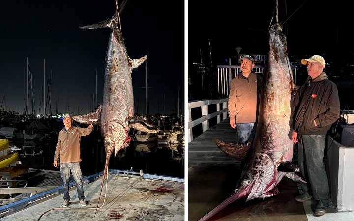 A San Diego angler with a giant swordfish.