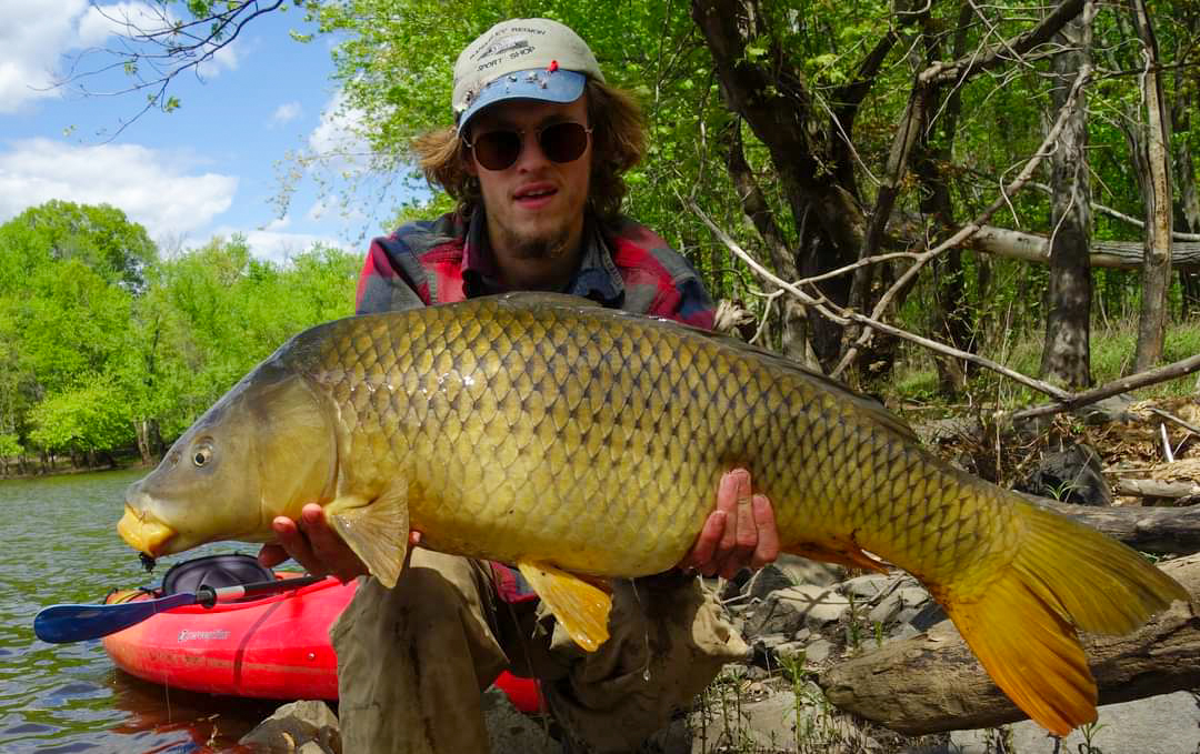 Fisherman Rowan Lytle holds up a big yellow carp in the daytime.