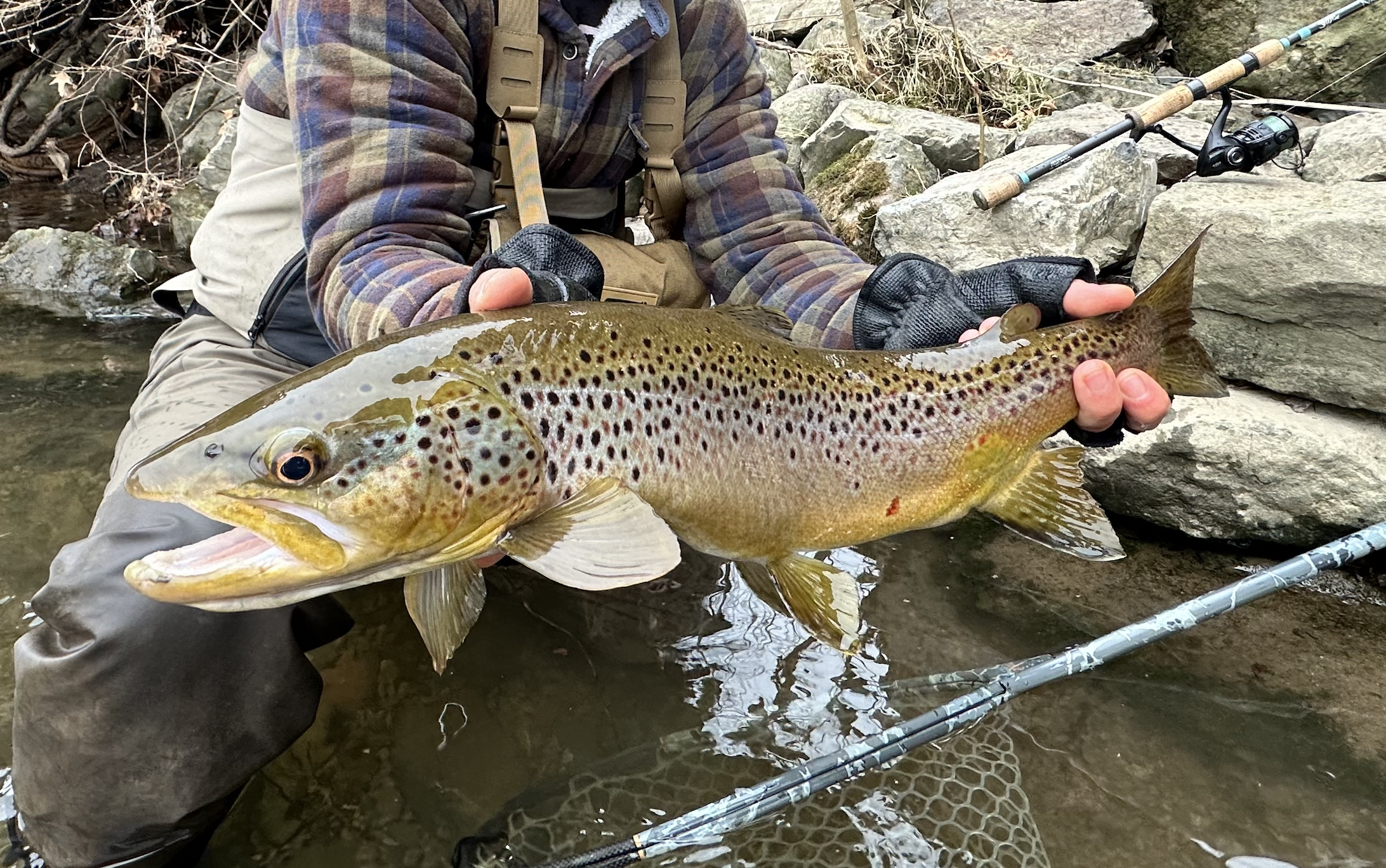 fall trout fishing