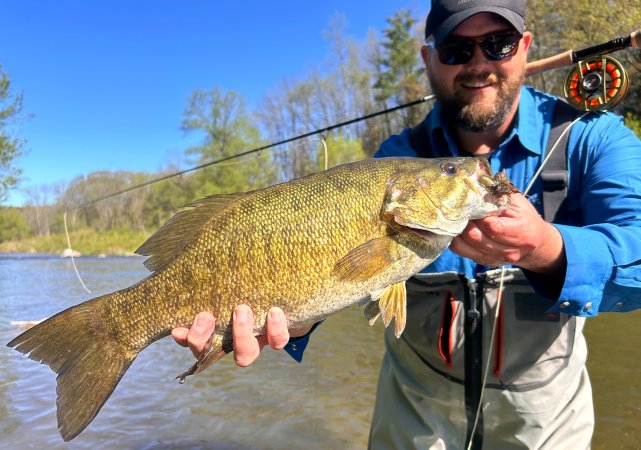 A fly fisherman holds up a smallmouth bass.