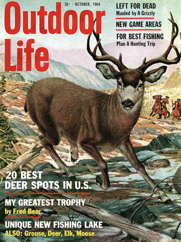 A big mule deer buck illustrated on the Oct 1964 cover of Outdoor Life.