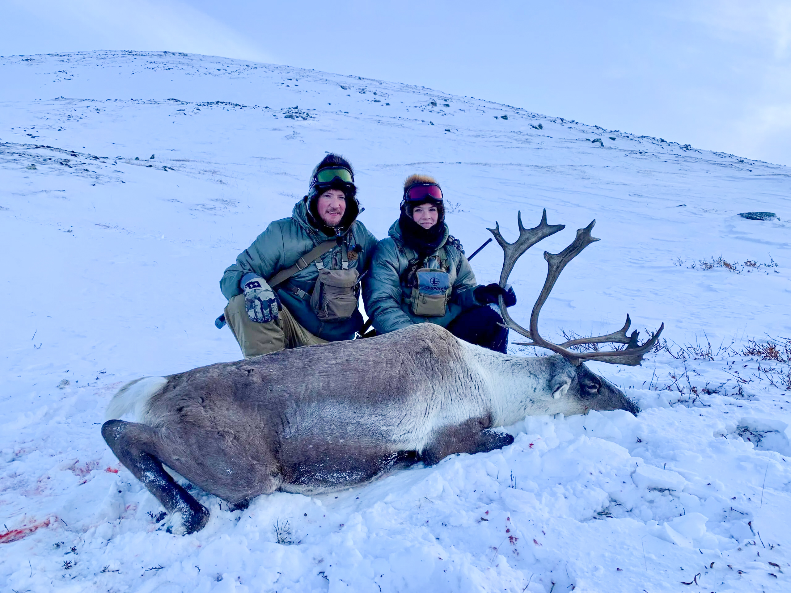 A caribou bull taken with a 6.5 creedmoor.