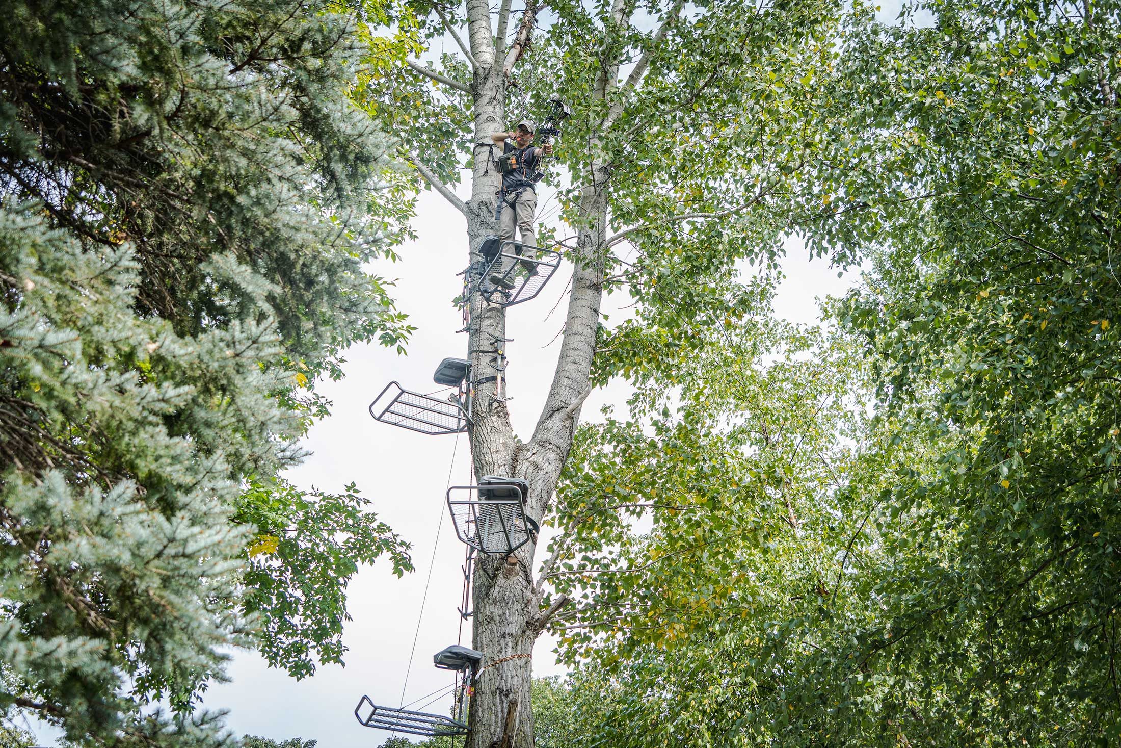 Video: Testing the Best Tree Stand Height for Bowhunting