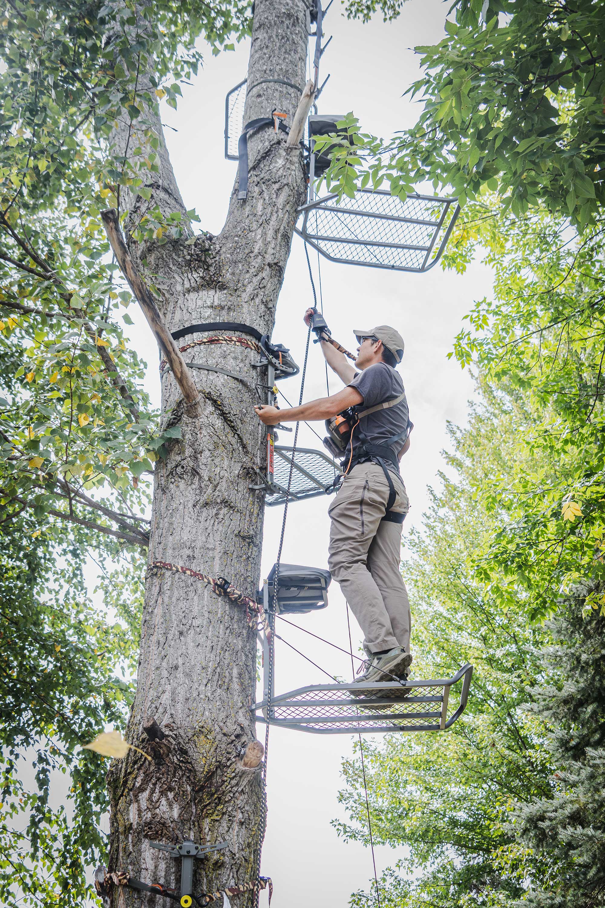 treestand