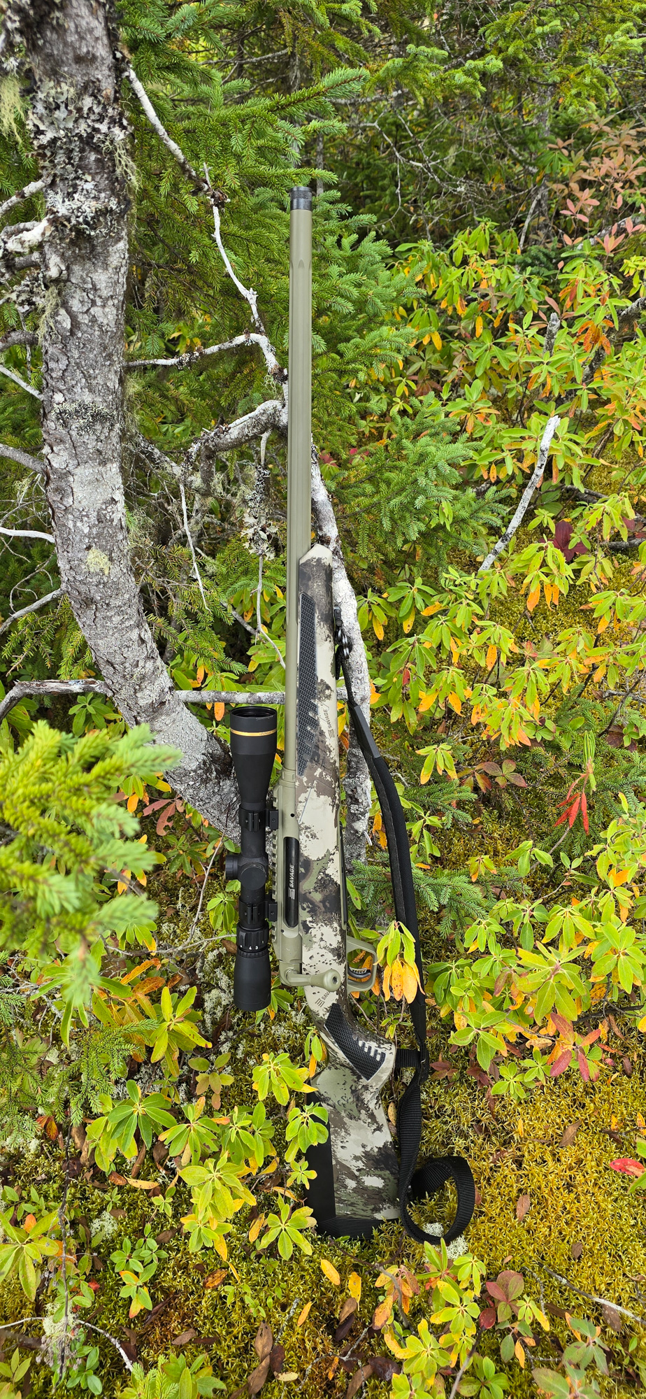 A camo hunting rifle, the Savage Impulse, leans against a tree.