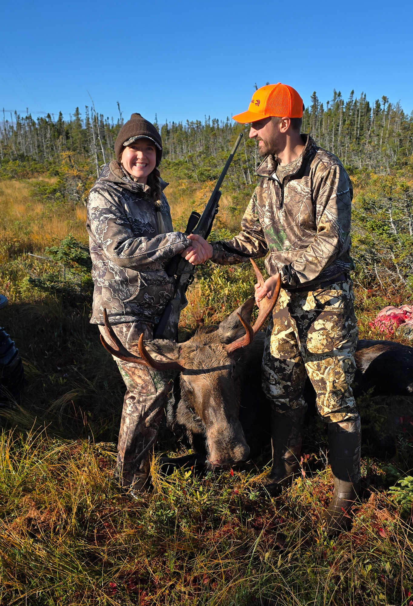 Two hunters shake hands over a bull moose.