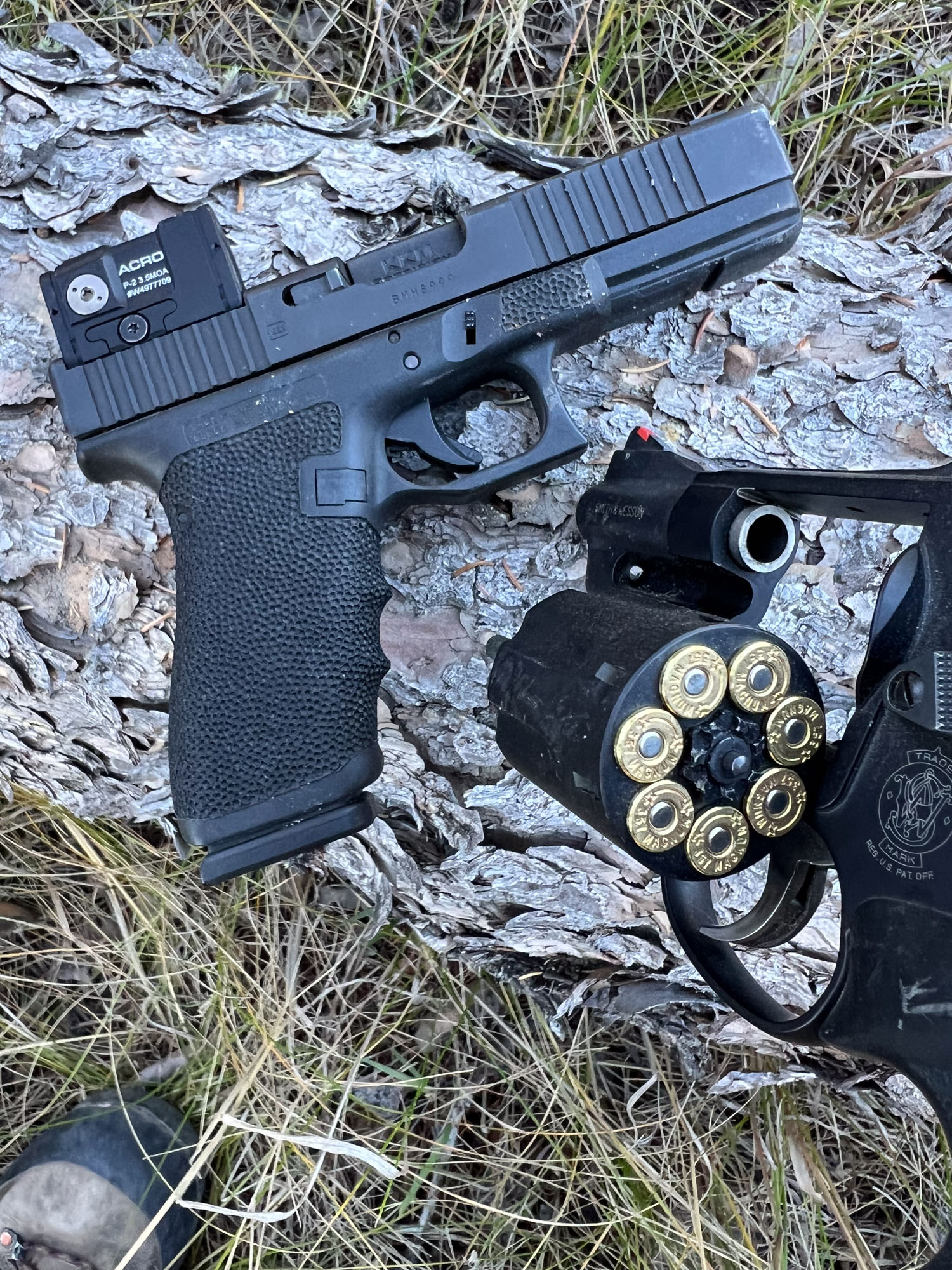 A Glock G20 is a good option for bear defense