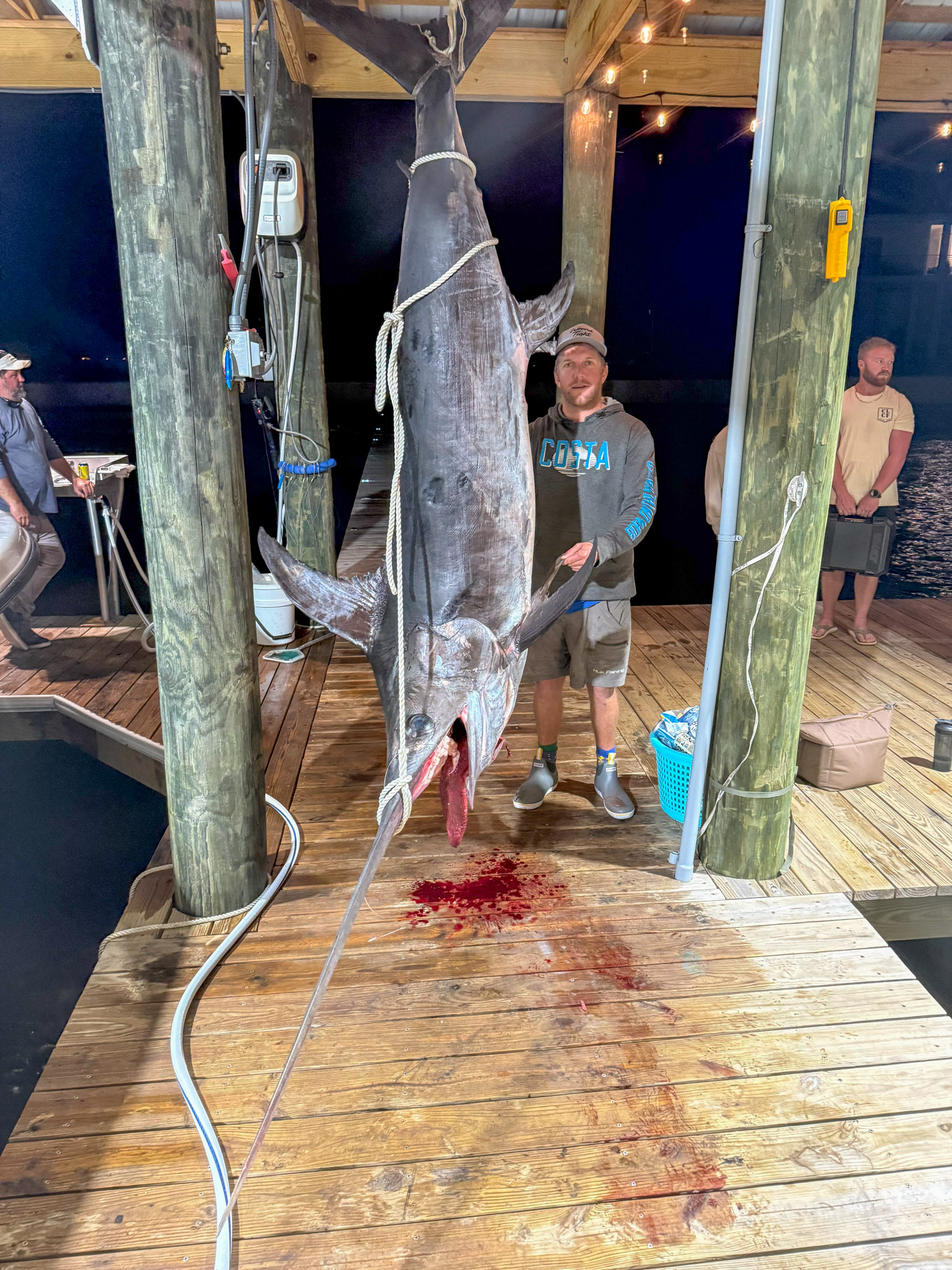 Watch: Huge Mississippi Swordfish Just Misses State Record