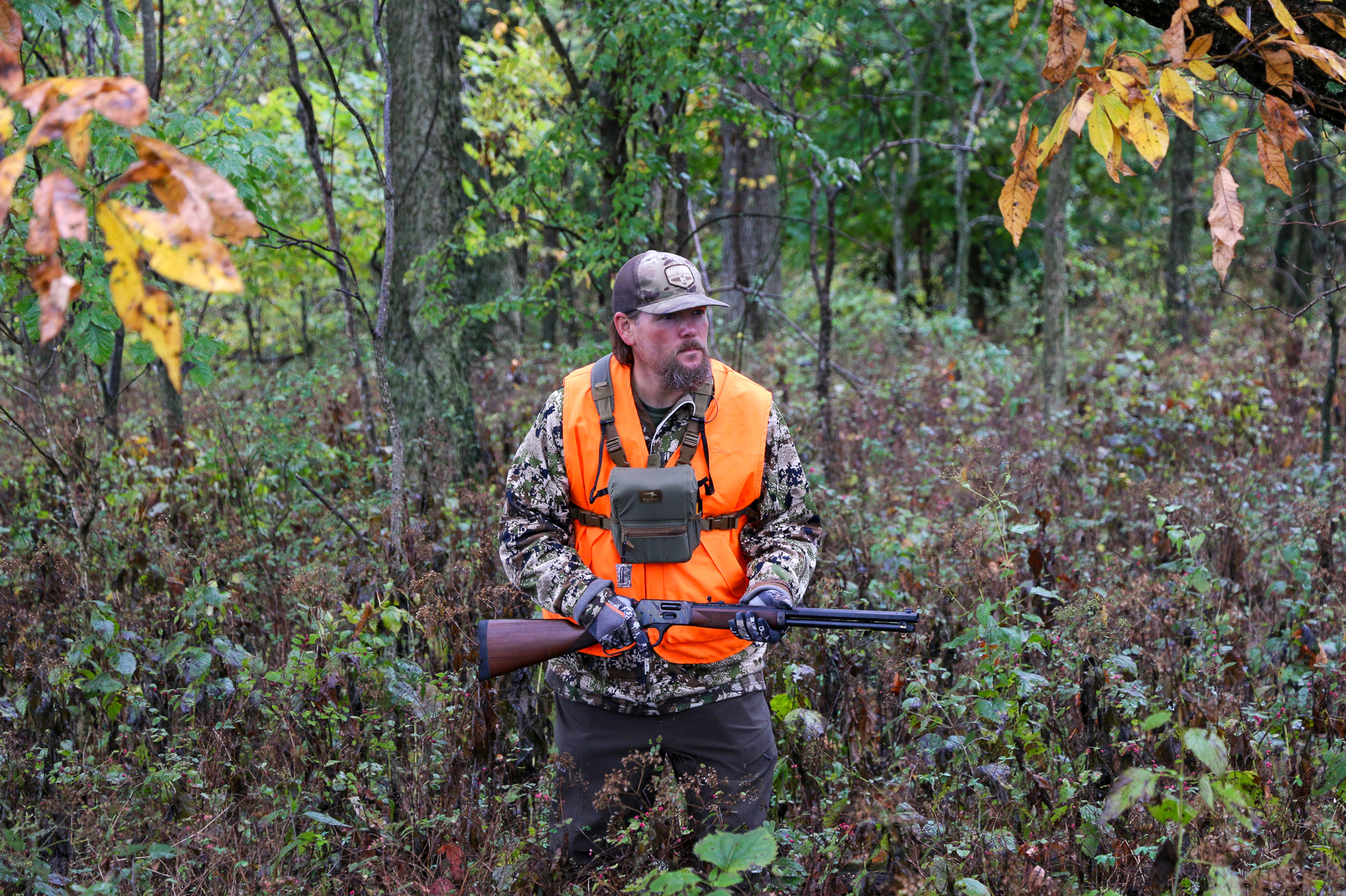 A hunter still hunts in the woods.