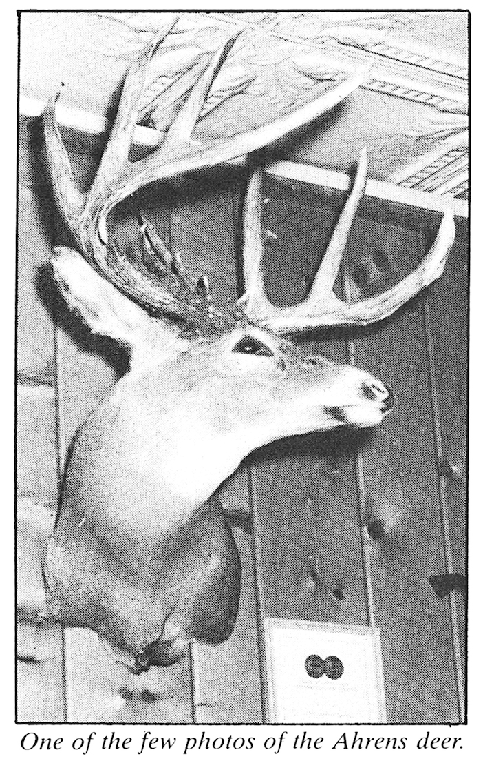 The Ahren buck on a wall