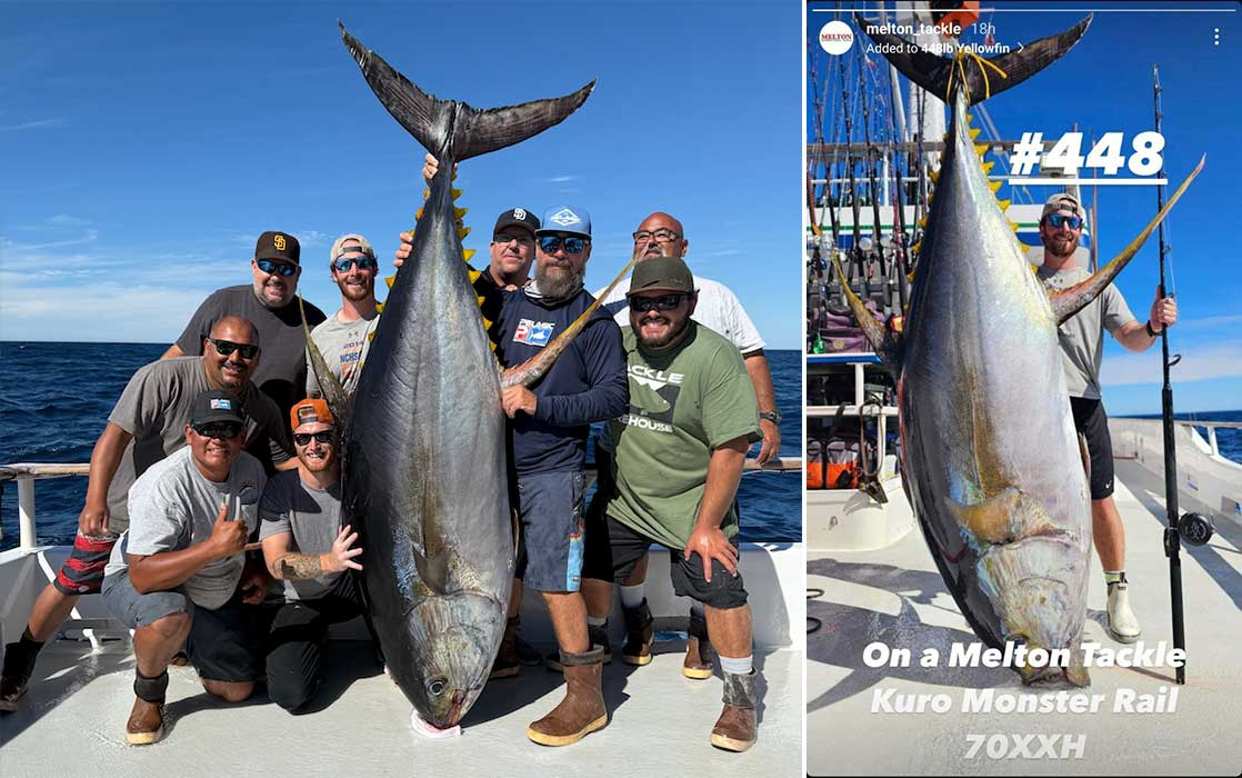 Angler Catches Likely World Record Yellowfin Tuna Off the Coast of Southern California 