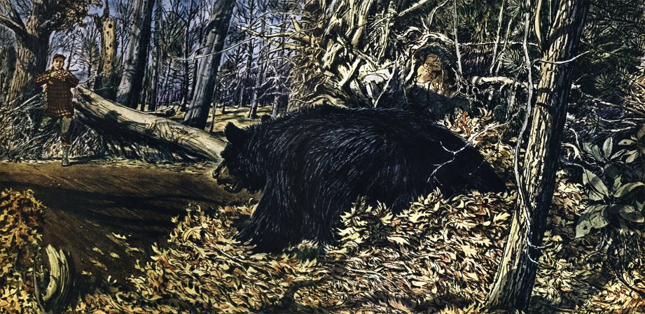 An illustration of a big black bear and a hunter