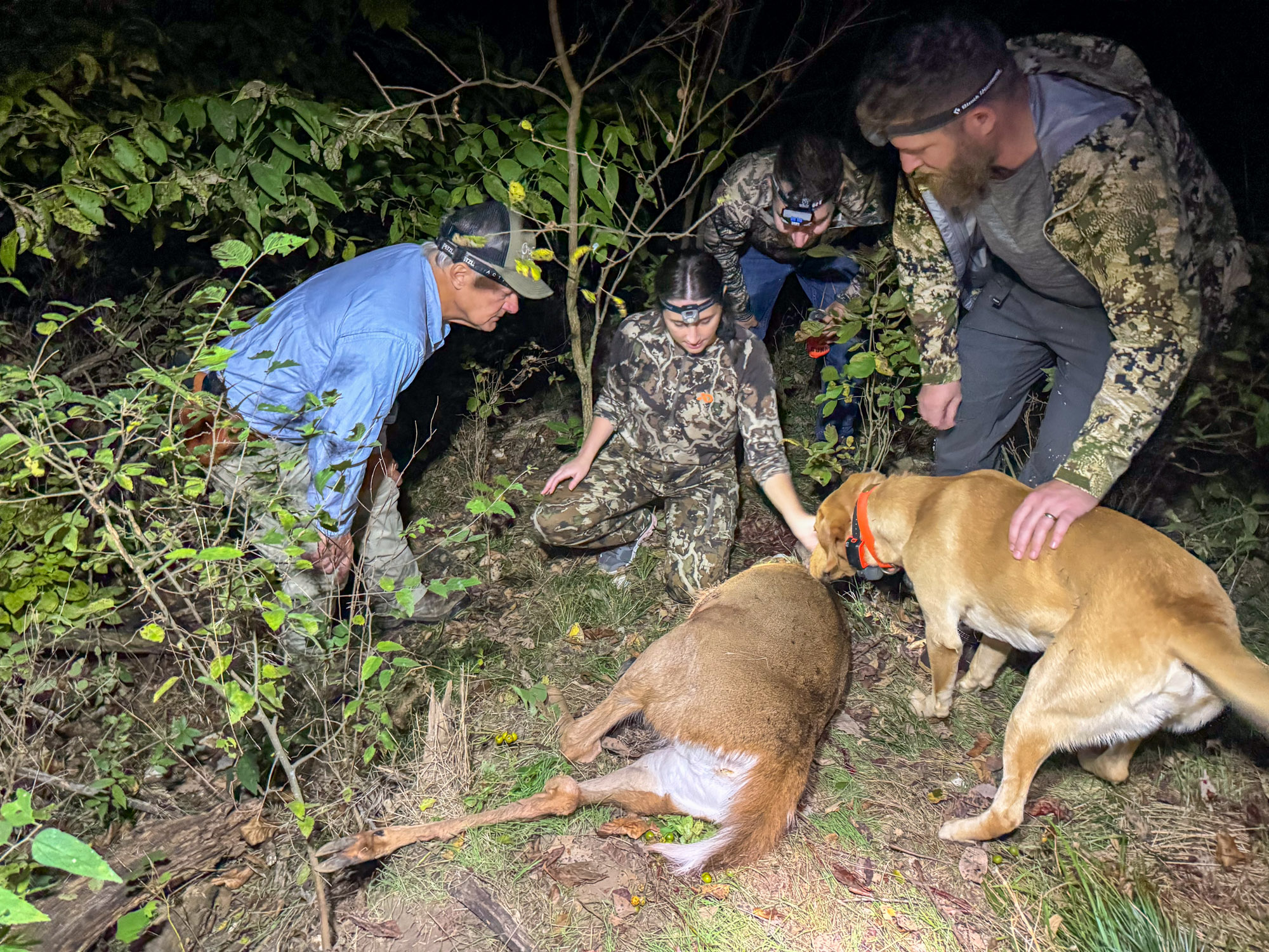 Hunters and a dog gather around a deer.