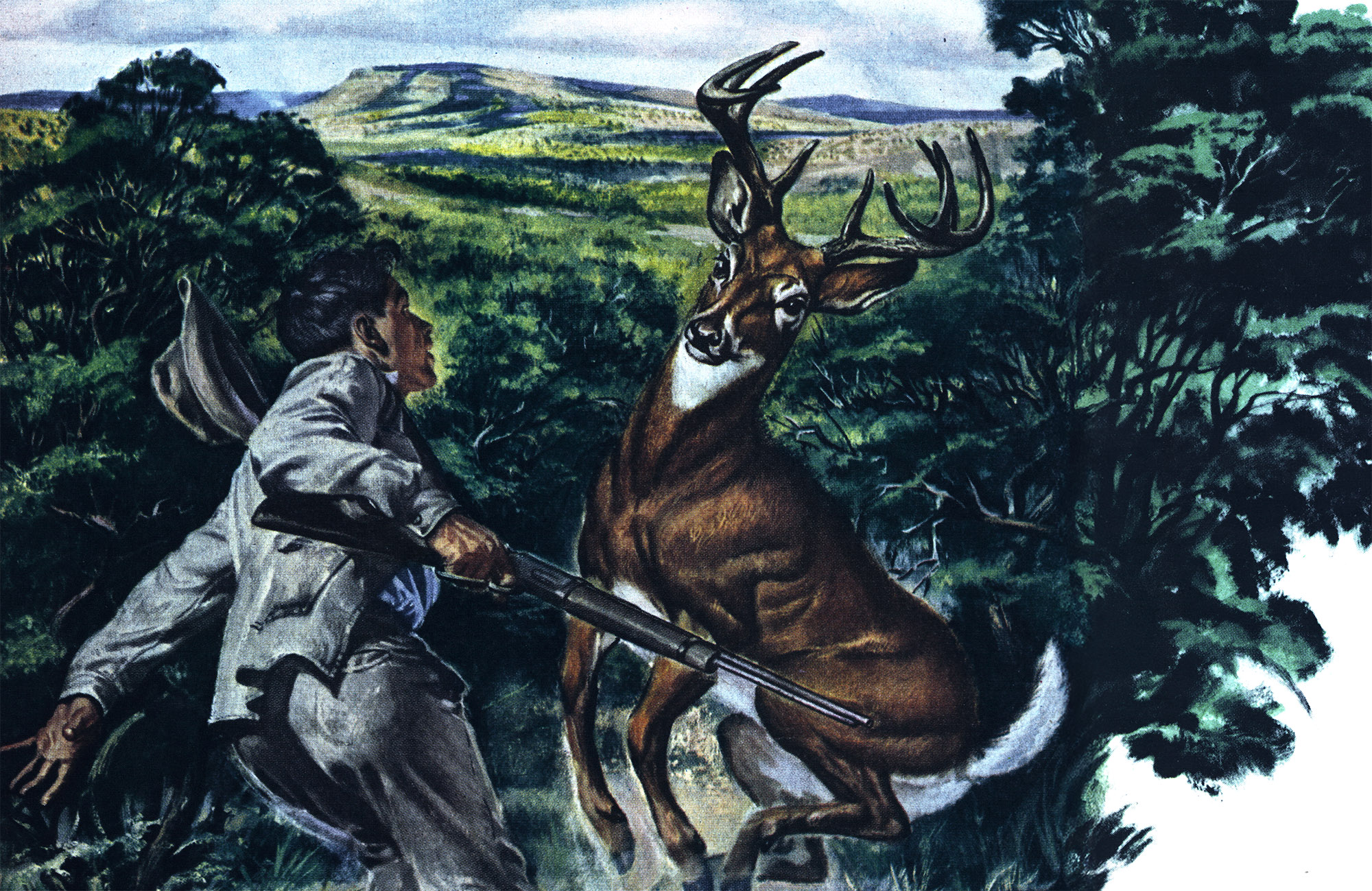 An illustration of a boy and a buck face to face.