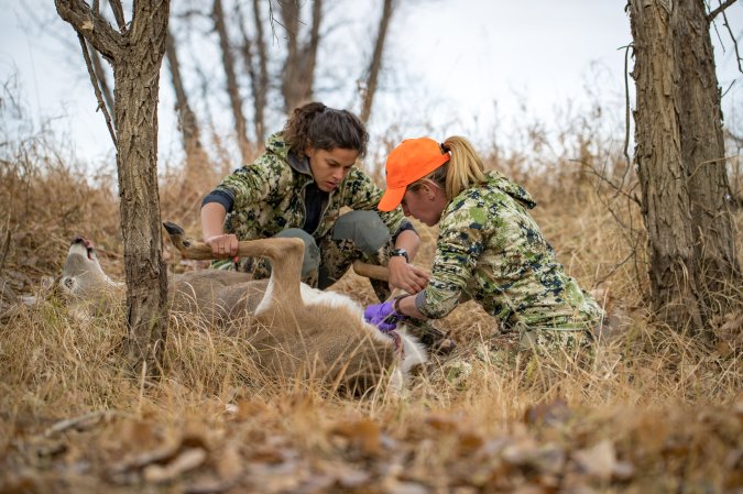 Two hunters field dress a deer.