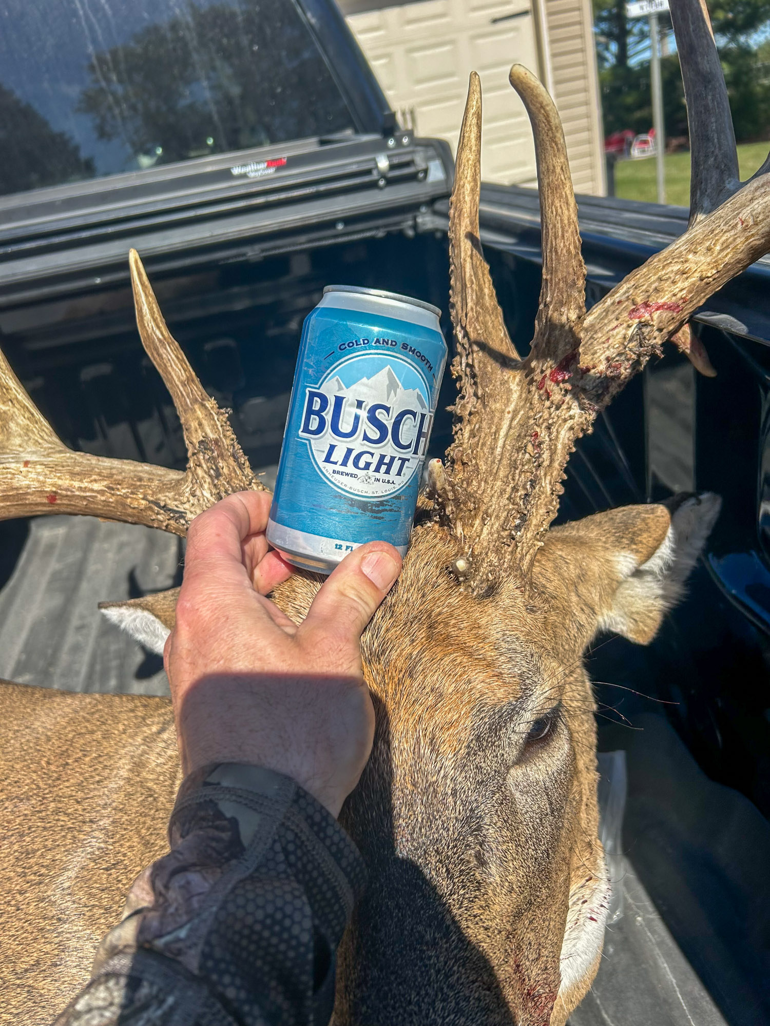 A beer can by an antler.