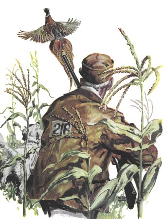 A painting of a rooster getting up from some tall weeds as a hunter watches.