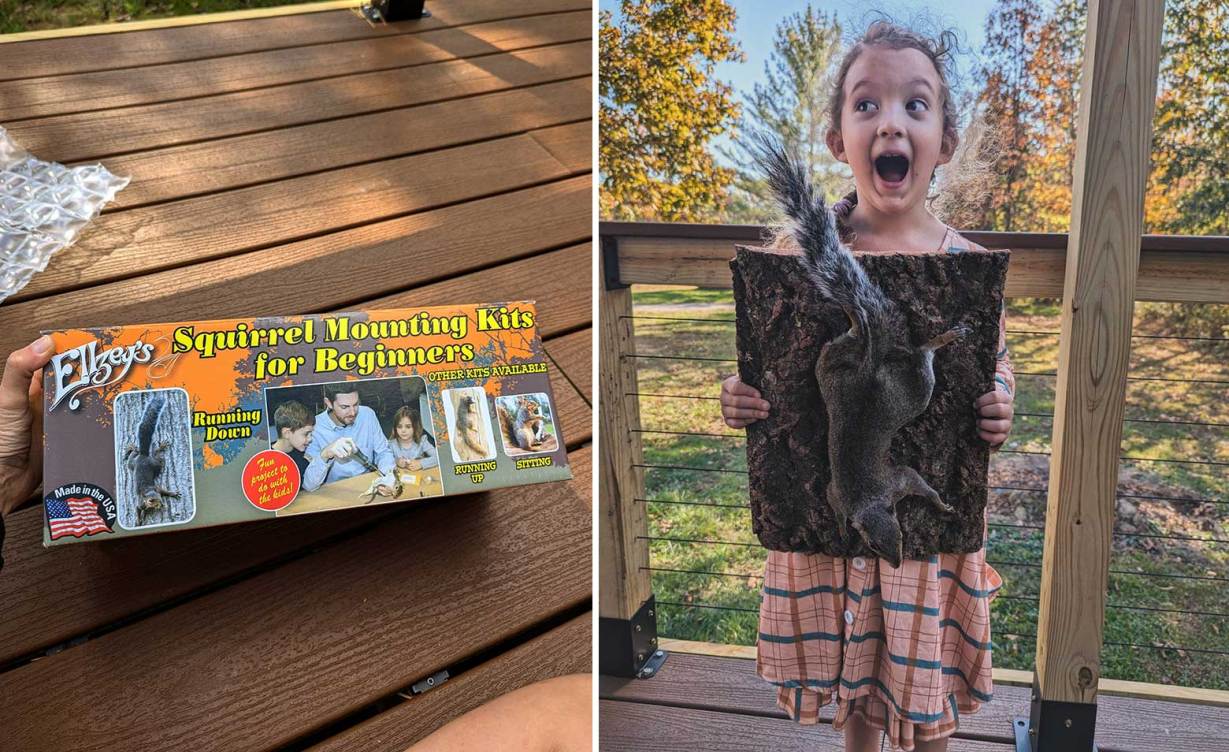 Squirrel Taxidermy: How to Mount a Squirrel With This Simply DIY Kit ...