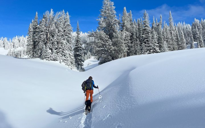 Man walks into untouched snow.